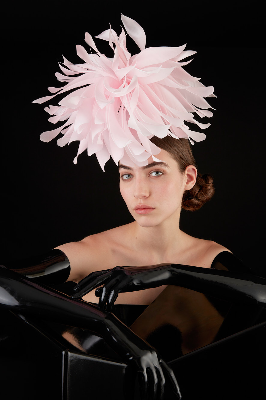 OC 703 | Philip Treacy London